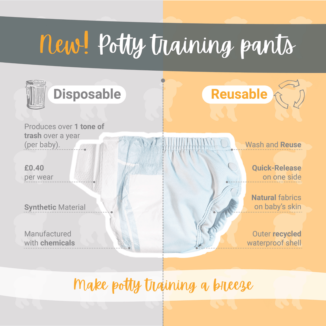 Little Lamb Pull Up Potty Training Pants