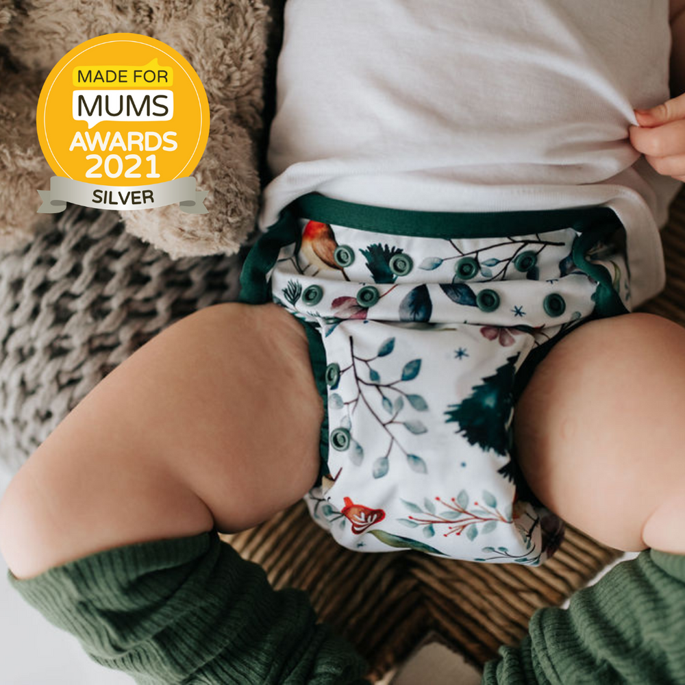 Seedling Baby Multi-Fit Pocket Nappy - Winter|Summer Sweets Baby