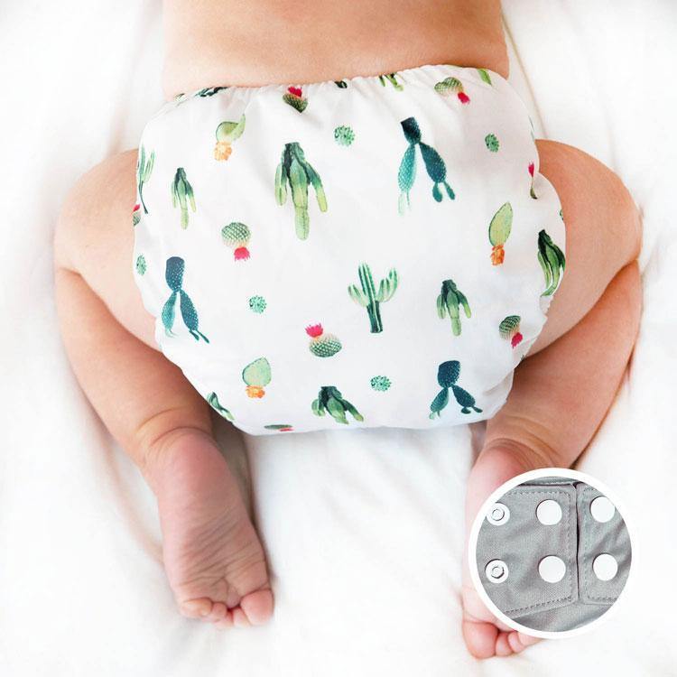 La Petite Ourse Pocket Nappy - Cactus|Summer Sweets Baby
