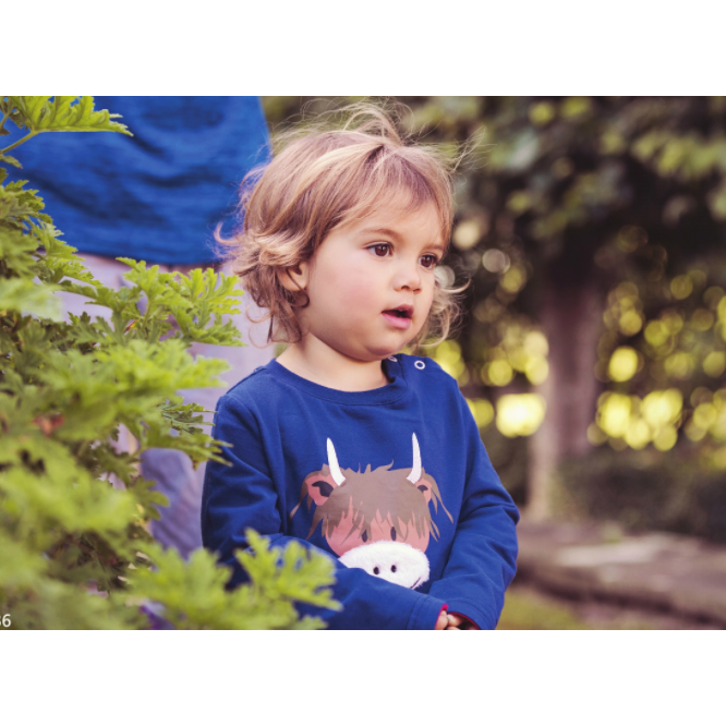 Blade & Rose - Highland Cow Top|Summer Sweets Baby