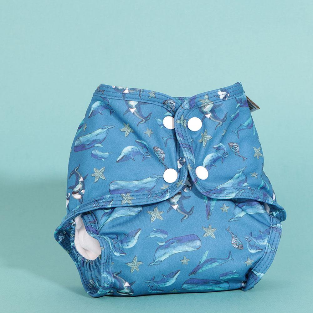 Little Lamb Sized Pocket - Into the Blue|Summer Sweets Baby