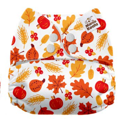 Mama Koala Autumn Gourds & Leaves Pocket Nappy
