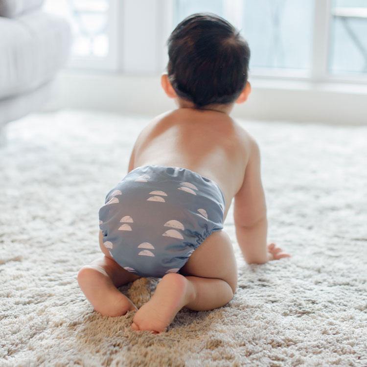 La Petite Ourse All-in-One - Balanced|Summer Sweets Baby