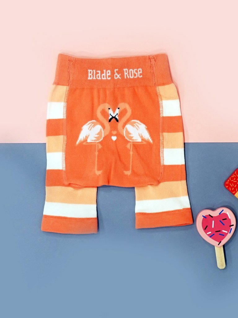 Blade & Rose - Flamingo Shorts|Summer Sweets Baby