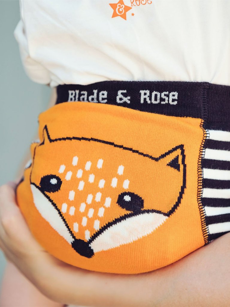 Blade & Rose - Fox Shorts|Summer Sweets Baby