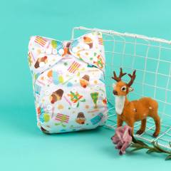 Alva Baby Birthday Pocket Nappy