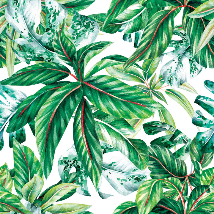 Designer Bums All-in-Two (Ai2) Cloth Nappy - Rainforest Walk|Summer Sweets Baby