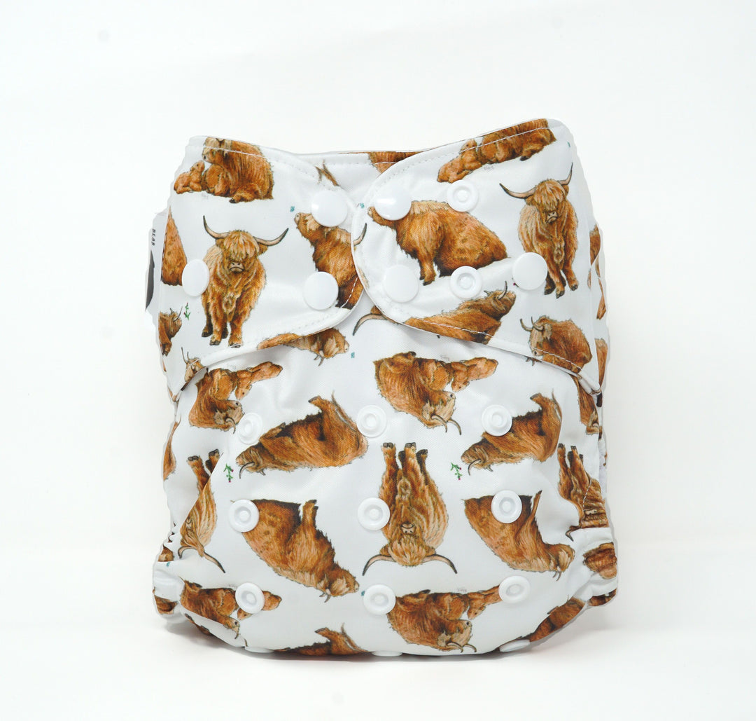 Bear Bott Pocket Nappy - Multiple Patterns|Summer Sweets Baby