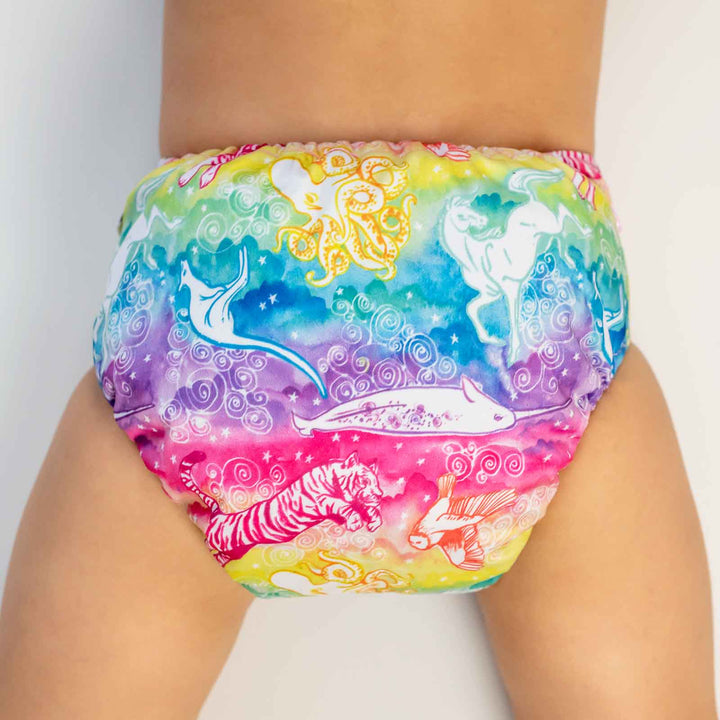 Designer Bums All-in-Two (Ai2) Cloth Nappy - Dreams|Summer Sweets Baby