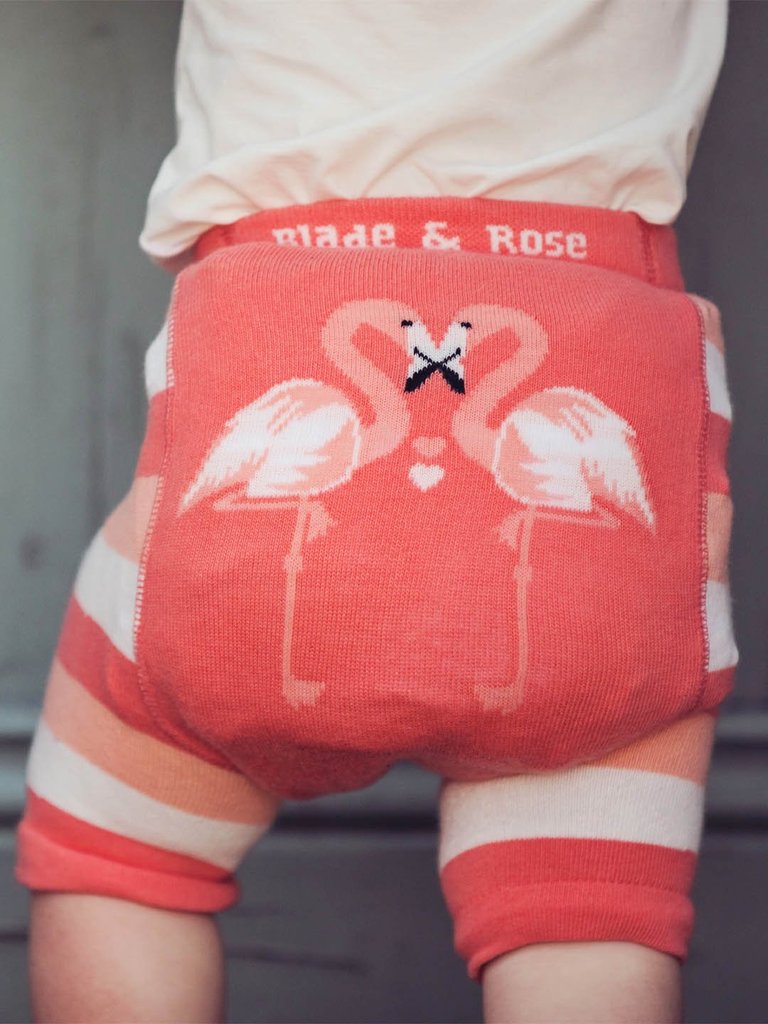Blade & Rose - Flamingo Shorts|Summer Sweets Baby