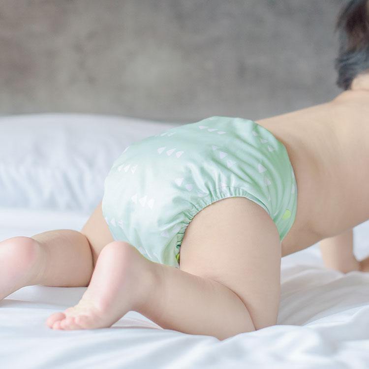La Petite Ourse Pocket Nappy - Movement|Summer Sweets Baby